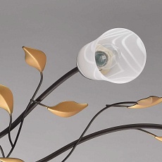 Потолочная люстра MW-Light Восторг 242015206 2