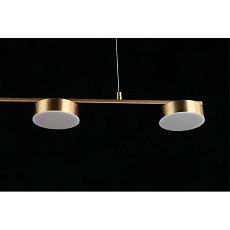 Подвесная светодиодная люстра Aployt Usia APL.047.13.35 5