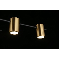 Потолочная люстра Aployt Elwisia APL.633.07.10 5