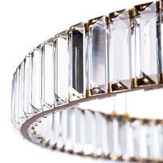 Подвесной светодиодный светильник Divinare Renata 1135/17 SP-25 1