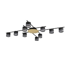 Светильник потолочный Lumion BENUA 8304/10C