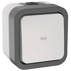 TORS Переключатель одноклавишный с индикацией 10А IP55 TS202 серо-белый IEK TS-V10-1-10-55-K41