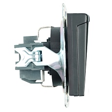 Розетка 2P+PE Stekker Катрин со шторками крышкой черный GLS16-7112-05 39608 5