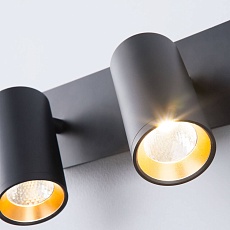 Светодиодный спот Eurosvet Fleur 20066/2 LED черный/золото 4