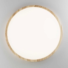 Потолочный светильник Citilux Бейсик Клен CL738322V 1