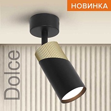 Потолочный светильник WOLTA WSL-GU10/S06BG