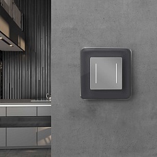 Рамка Werkel Elite на 1 пост графит W0012440 4690389180675 3