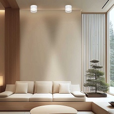 Потолочный светильник Apeyron Sunrise 16-124 5