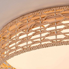 Потолочный светильник F-Promo 4749-4C 1