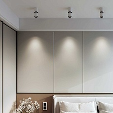 Потолочный светодиодный светильник Elektrostandard Kayo 25048/LED 12W 4000К белый/чёрный a064728 1