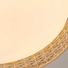 Потолочный светильник F-Promo 4749-4C 3