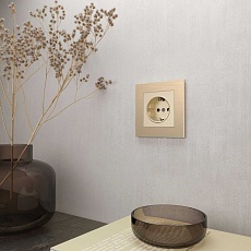 Рамка Werkel Aluminium на 1 пост шампань алюминий W0011711 4690389158001 2