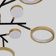 Потолочный светодиодный светильник F-Promo Hybrid 4686-13C 3