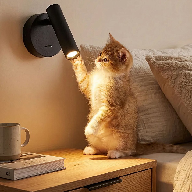 Спот Citilux Декарт CL704101 Фото № 13