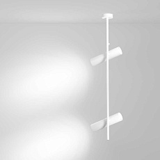 Потолочный светильник Maytoni Elti C021CL-02W 3