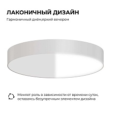 Светильник светодиодный накладной Apeyron 18-155 1