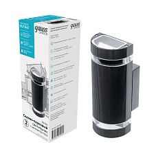 Уличный настенный светильник Gauss Electra GD162 2