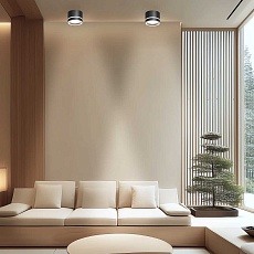 Потолочный светильник Apeyron Ray 16-121 3