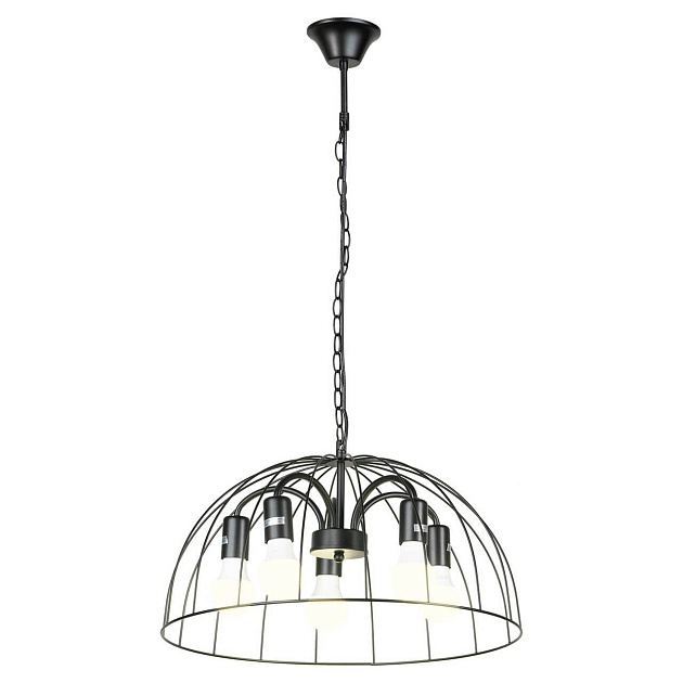 Подвесная люстра Lussole Lgo Lattice LSP-8216 Фото № 1