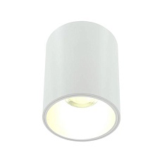 Накладной светильник Lightera Shamrock LE201CL-1WA