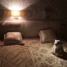 Настенный светильник Citilux Декарт CL704303 4