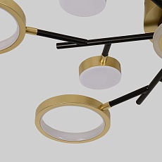 Потолочный светодиодный светильник F-Promo Hybrid 4686-13C 1