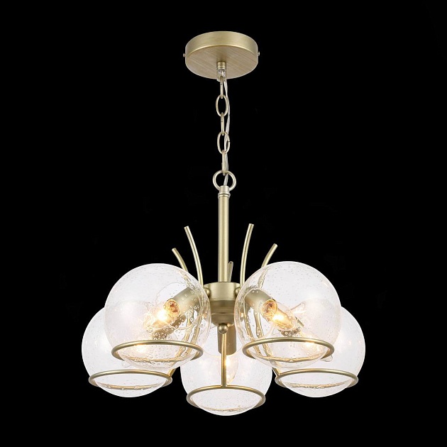 Подвесная люстра Evoluce Rescheza SL1136.203.05 Фото № 2