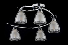 Потолочная люстра Arti Lampadari Paola E 1.1.5 N 2