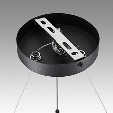 Подвесная люстра Lumion Comfi Luazana 8242/9 2