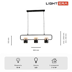 Светильник подвесной Lightera Rudolf LE114L-3B SMART 4