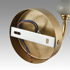 Бра Lumion Classi Anri 6590/1W 2