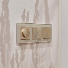 Выключатель одноклавишный с подсветкой Werkel шампань рифленый W1110110 4690389160028 4