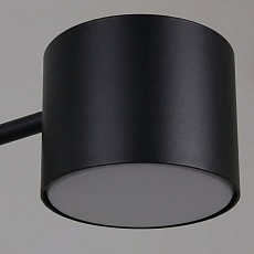 Потолочная люстра Reluce 47206-0.3-06BK 2