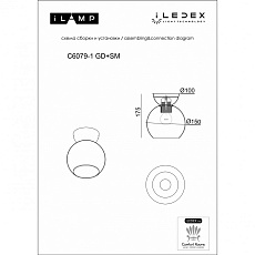 Потолочный светильник iLamp Mono C6079-1 BK+SM 1