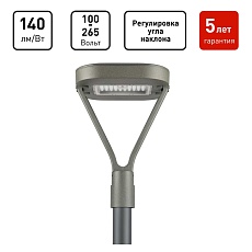 Светильник светодиодный садово-парковый ЭРА SPP-505-0-50K-050 50Вт 5000K IP65 серый Б0062718 2