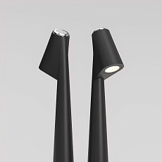 Настольная лампа Elektrostandard Elite TL70250 a068070 3