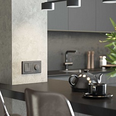 Диммер Werkel W1142064 4690389194399 3