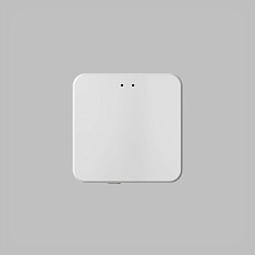 Конвертор Denkirs Control BT DK7401-WF