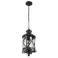 Уличный подвесной светильник Loft IT Ferrara 100020P 2