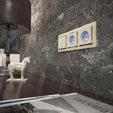 Розетка с заземлением с подветкой Werkel слоновая кость W1171403 4690389171673 3