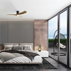 Люстра-вентилятор Mantra NEMO S 9050 2