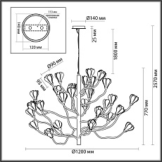 Подвесная люстра Odeon Light Modern Gardi 5090/30 1