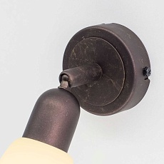 Спот Citilux Ронда CL506514 4