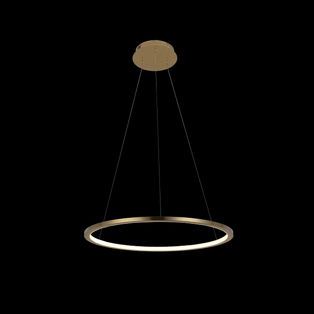 Подвесной светодиодный светильник Loft IT Ring 10014M Фото № 4