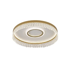 Потолочный светодиодный светильник F-Promo Lunetta 4186-2C 1