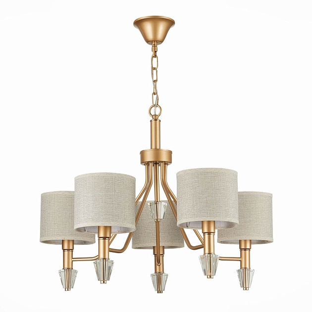 Подвесная люстра Evoluce Vilede SLE107003-05 Фото № 1