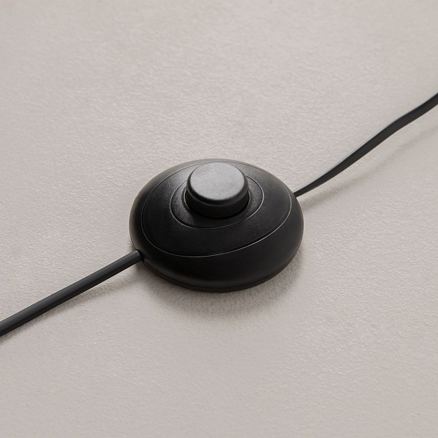 Торшер Maytoni Modern Evolution MOD396FL-L10W3K Фото № 4