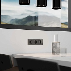 Диммер Werkel графит акрил W1142044 4690389197499 2