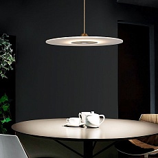 Светильник подвесной Lightera Tekapo LE127L-50G 4