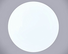 Потолочный светодиодный светильник Arti Lampadari Bianco E 1.13.49 W 1